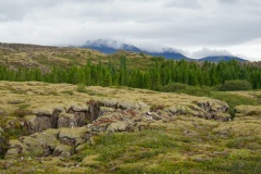 island-noxot-copyright-piotr-nogal_20190727_130454_DSC01156.JPG
