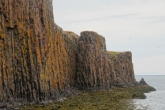 island-noxot-copyright-piotr-nogal_20190729_082945_DSC02048.JPG
