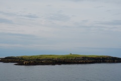 island-noxot-copyright-piotr-nogal_20190729_094848_DSC02072.JPG