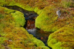 island-noxot-copyright-piotr-nogal_20190730_164047_DSC02688.JPG