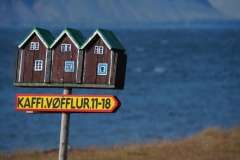 island-noxot-copyright-piotr-nogal_20190731_105729_DSC03228.JPG