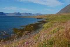 island-noxot-copyright-piotr-nogal_20190731_112353_DSC03275.JPG