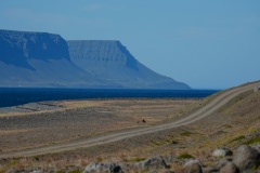 island-noxot-copyright-piotr-nogal_20190731_124604_DSC03443.JPG