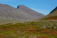 island-noxot-copyright-piotr-nogal_20190731_134829_DSC03481.JPG
