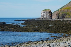island-noxot-copyright-piotr-nogal_20190731_141226_DSC03541.JPG