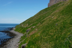 island-noxot-copyright-piotr-nogal_20190731_144550_DSC03622.JPG