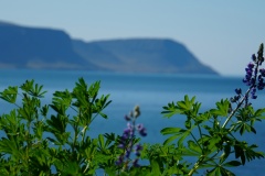 island-noxot-copyright-piotr-nogal_20190731_144933_DSC03639.JPG