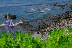 island-noxot-copyright-piotr-nogal_20190731_145613_DSC03721.JPG