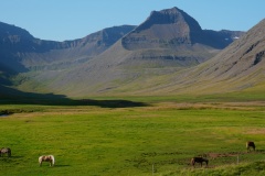 island-noxot-copyright-piotr-nogal_20190801_092313_DSC04158.JPG