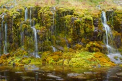 island-noxot-copyright-piotr-nogal_20190802_124851_DSC05009.JPG