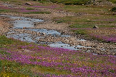 island-noxot-copyright-piotr-nogal_20190803_111338_DSC05273.JPG
