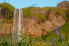 island-noxot-copyright-piotr-nogal_20190809_205002_DSC07452.JPG