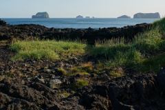island-noxot-copyright-piotr-nogal_20190810_183554_DSC07674.JPG