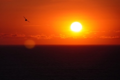 island-noxot-copyright-piotr-nogal_20190810_214041_20190824_101606