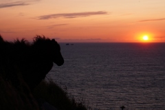 island-noxot-copyright-piotr-nogal_20190810_214432_20190824_101646