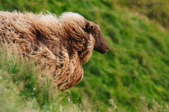 island-noxot-copyright-piotr-nogal_20190811_200647_DSC08633.JPG