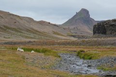 island-noxot-copyright-piotr-nogal_20190812_143833_DSC08905.JPG