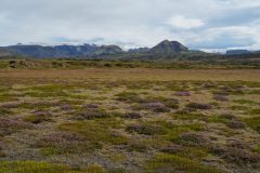 island-noxot-copyright-piotr-nogal_20190812_151123_DSC08983.JPG