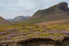 island-noxot-copyright-piotr-nogal_20190812_151514_DSC08993.JPG