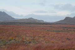 island-noxot-copyright-piotr-nogal_20190812_170913_DSC09040.JPG