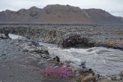 island-noxot-copyright-piotr-nogal_20190812_174746_DSC09082.JPG