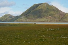 island-noxot-copyright-piotr-nogal_20190815_160316_DSC00614.JPG