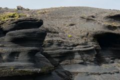 island-noxot-copyright-piotr-nogal_20190817_113154_DSC00689.JPG_Piotr-Nogal island-noxot-copyright-piotr-nogal_20190817_113154_DSC00689.JPG_Piotr-Nogal