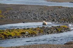 island-noxot-copyright-piotr-nogal_20190817_140817_DSC00711.JPG_Piotr-Nogal