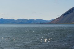 island-noxot-copyright-piotr-nogal_20190819_141747_DSC01212.JPG_Piotr-Nogal