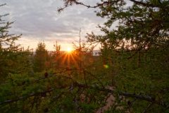 island-noxot-copyright-piotr-nogal_20190820_202211_DSC01462.JPG_Piotr-Nogal
