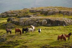 island-noxot-copyright-piotr-nogal_20190821_112711_DSC01504.JPG_Piotr-Nogal