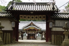 japan copyright piotr nogal 004