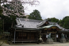japan copyright piotr nogal 005