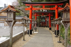 japan copyright piotr nogal 008