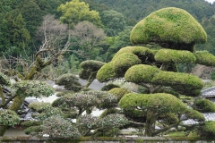 japan copyright piotr nogal 011