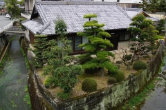 japan copyright piotr nogal 014