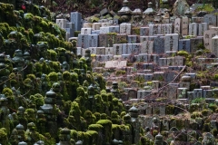 japan copyright piotr nogal 024