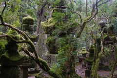 japan copyright piotr nogal 028