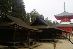 japan copyright piotr nogal 037