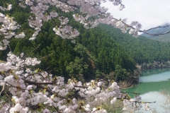 japan copyright piotr nogal 046
