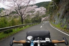 japan copyright piotr nogal 048