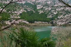 japan copyright piotr nogal 049