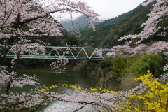 japan copyright piotr nogal 050