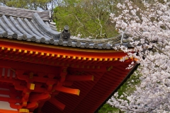 japan copyright piotr nogal 057