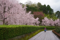 japan copyright piotr nogal 066