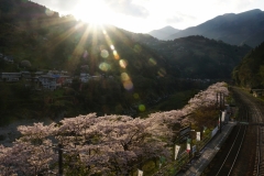 japan copyright piotr nogal 084
