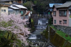 japan copyright piotr nogal 085