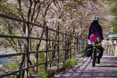 japan copyright piotr nogal 088