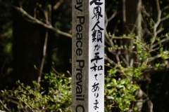 japan copyright piotr nogal 102