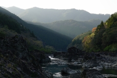 japan copyright piotr nogal 108